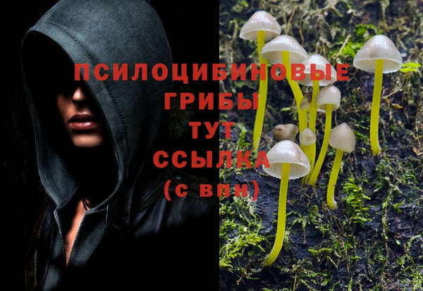 круглые Алексеевка