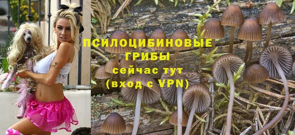ALPHA PVP Алексин