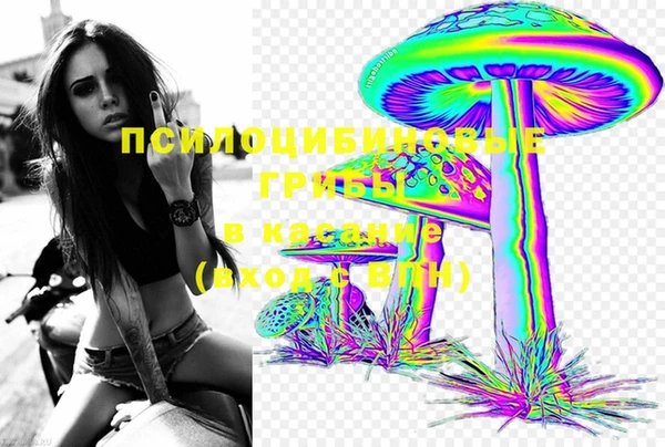 круглые Алексеевка