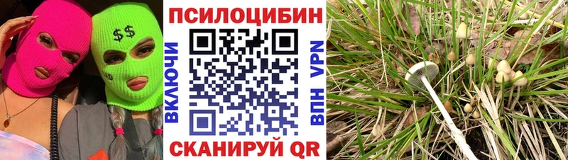 Галлюциногенные грибы GOLDEN TEACHER  Нытва 